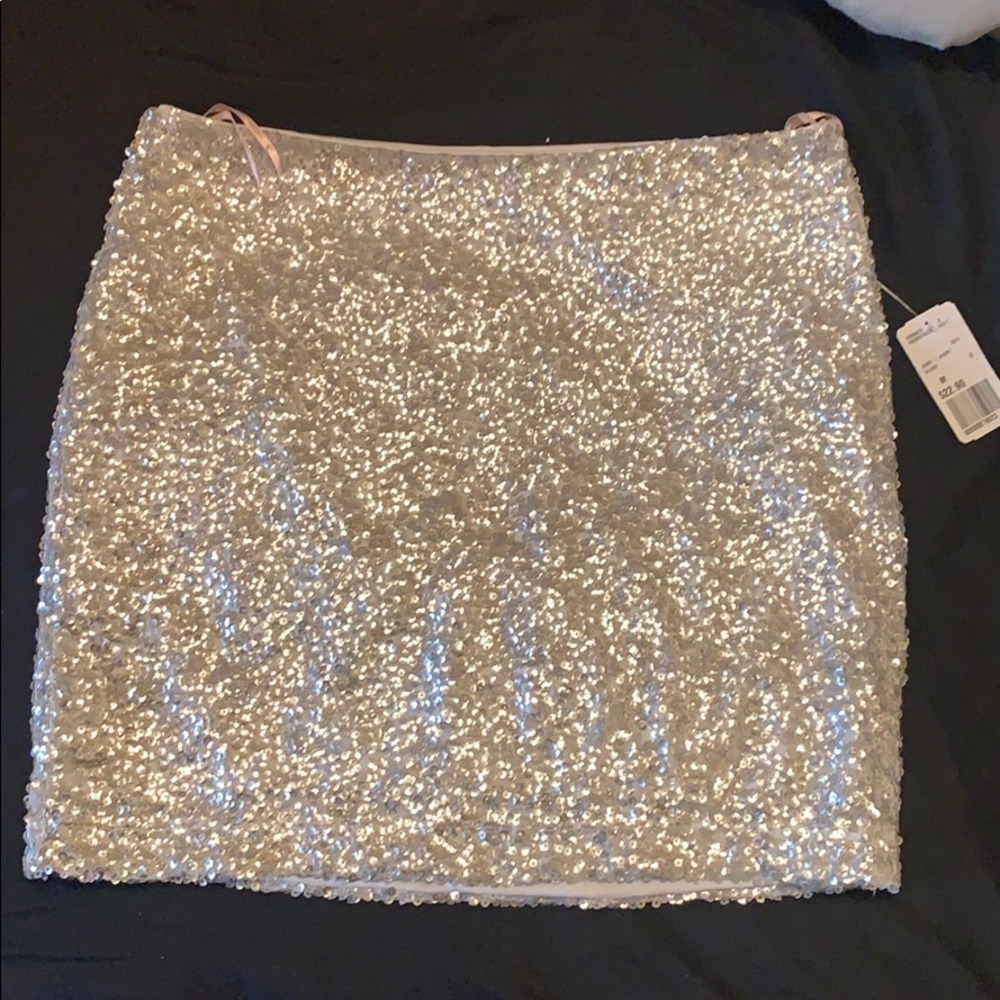 Silver skirt